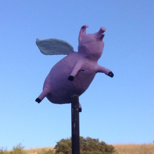 The flying pig, Topanga 